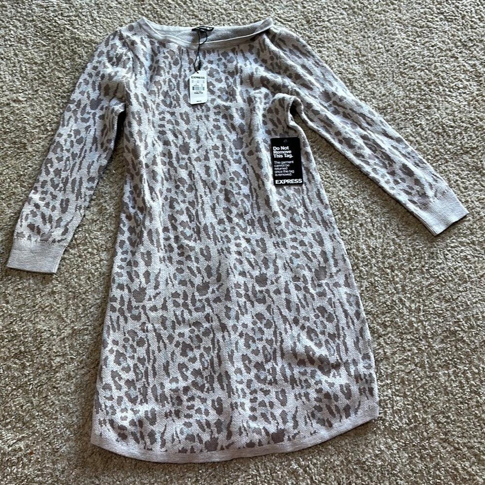 Express XXS leopard sweater dress